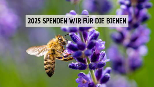 Ihr habt entschieden - 1 CHF für die Bienen im 2025
