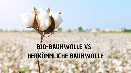 🌱 Bio-Baumwolle vs. Herkömmliche Baumwolle