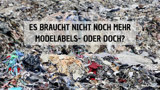 Es braucht nicht noch mehr Modelabels - Oder doch?